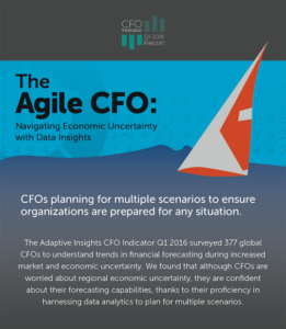 Agile CFO Infographic Preview