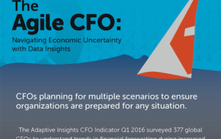Agile CFO Infographic Preview